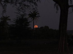 Камбоджа. Восход луны.