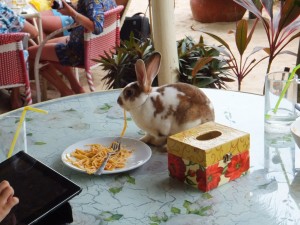 Кролик в ресторане "Белый кролик".