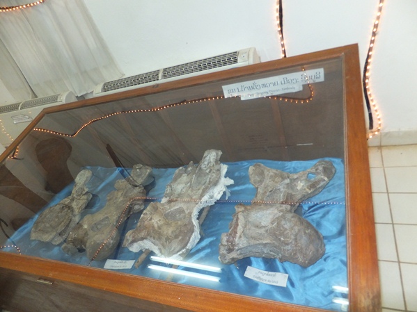 Музей динозавров в Саваннакхе!