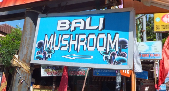 Грибы на Бали -  не наркотик!