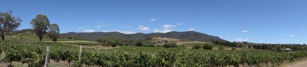 Виноградники Hunter Valley.