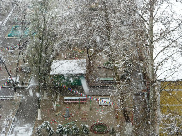 Апрельский снег в Ташкенте.